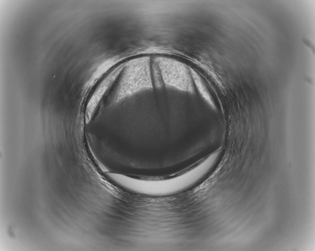 X0000094941367200712201105