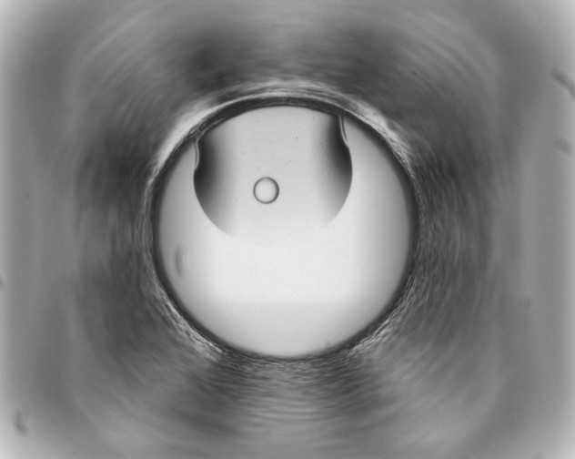 X0000094941368200712201105