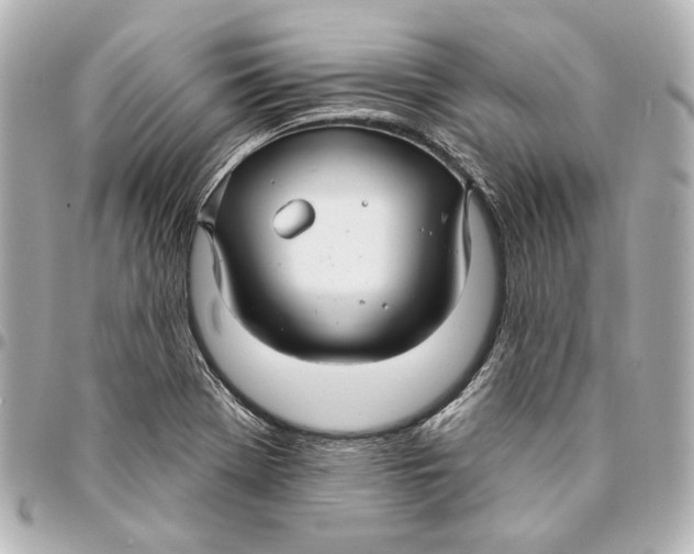 X0000094941369200712201105