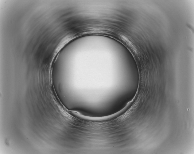 X0000094941370200712201105