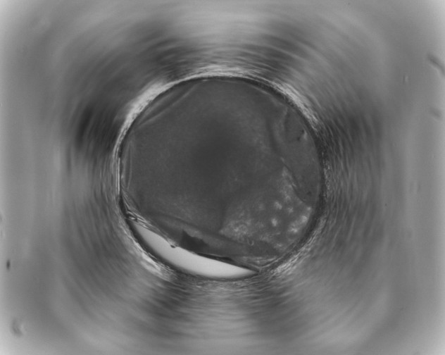 X0000094941371200712201105