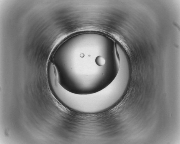 X0000094941372200712201105