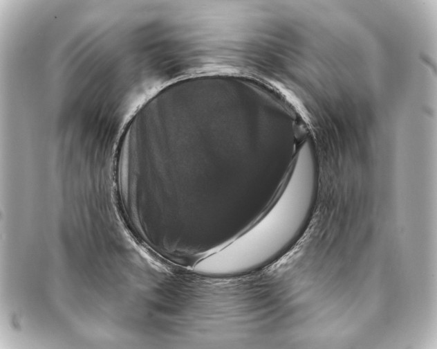 X0000094941373200712201105