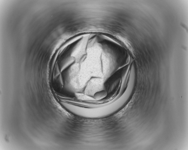 X0000094941374200712201105