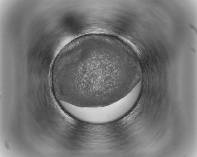 X0000094941375200712201105