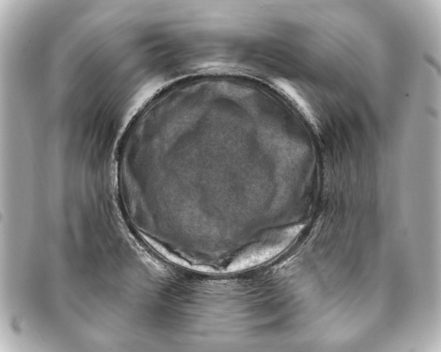 X0000094941376200712201105