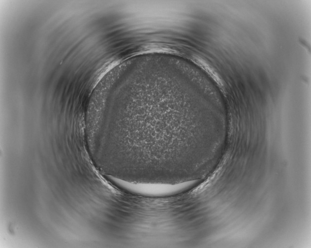 X0000094941377200712201105