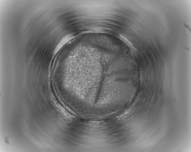 X0000094941378200712201105