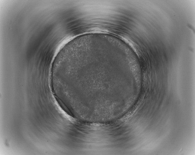 X0000094941379200712201105