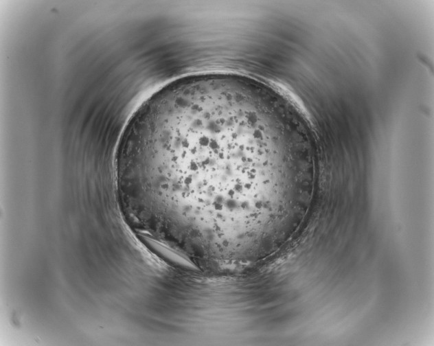 X0000094941380200712201105