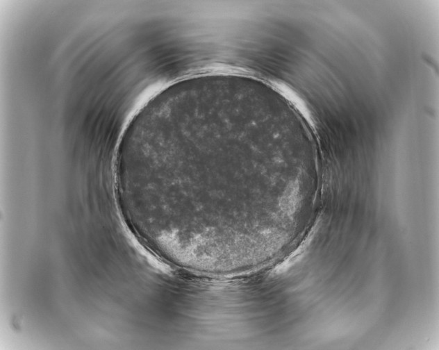 X0000094941381200712201105