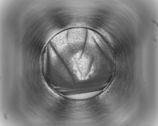 X0000094941382200712201105