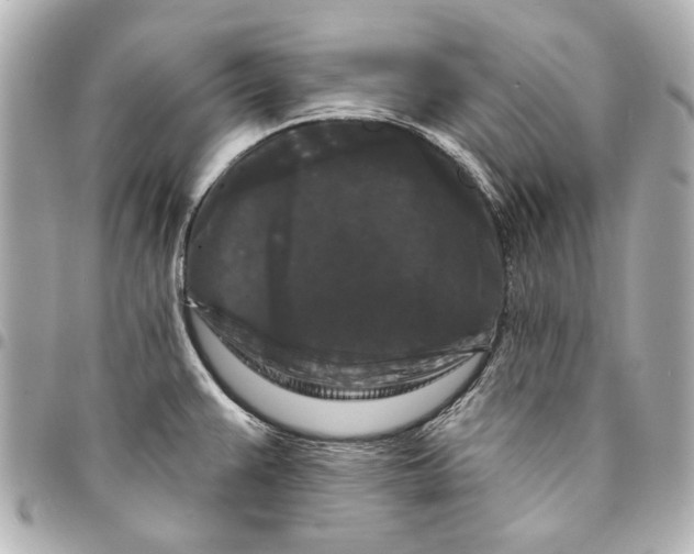 X0000094941383200712201105