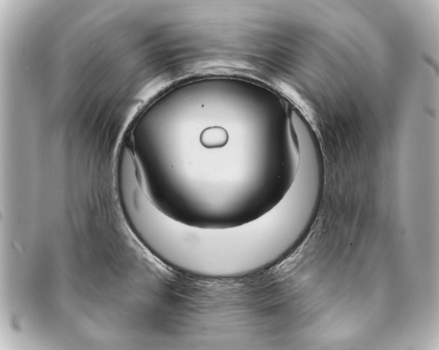 X0000094941384200712201105