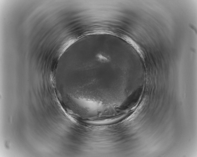 X0000094941385200712201105