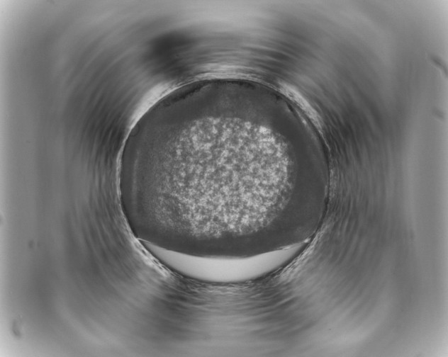 X0000094941386200712201105