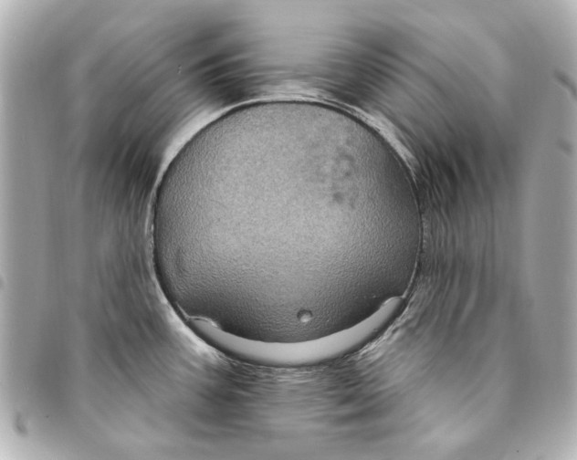 X0000094941387200712201105