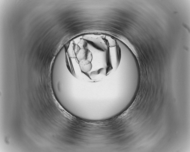 X0000094941388200712201105