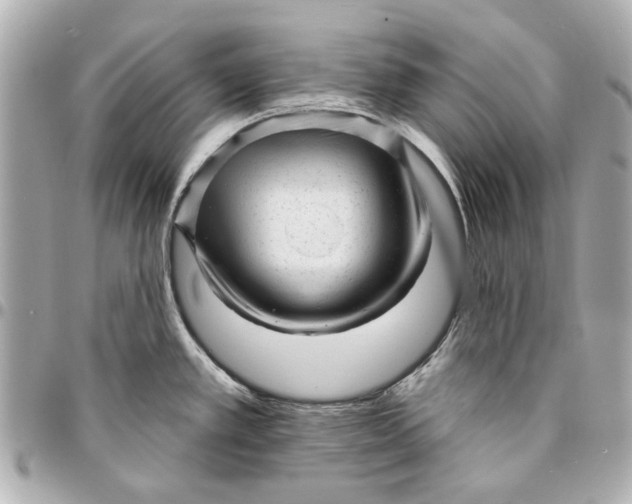 X0000094941389200712201105