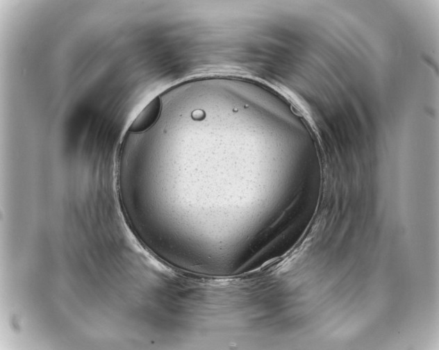 X0000094941390200712201105