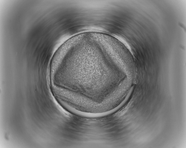 X0000094941391200712201105