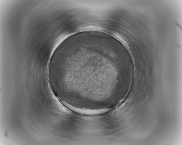 X0000094941392200712201105