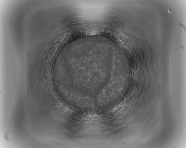 X0000094941393200712201104