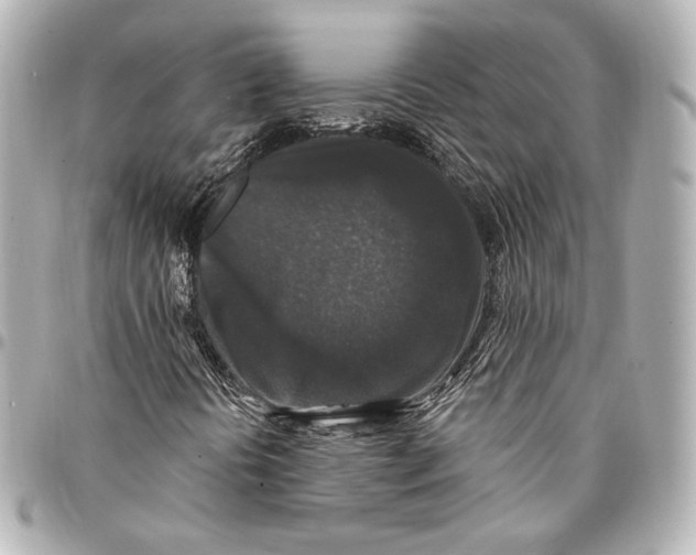 X0000094941394200712201104