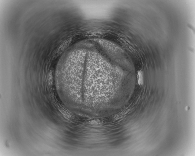 X0000094941395200712201104