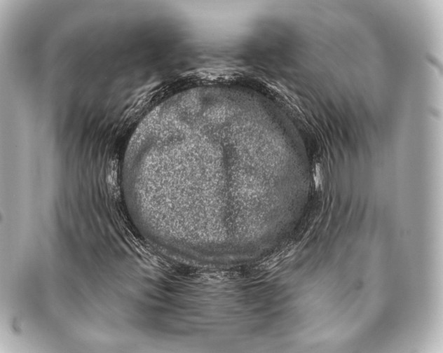 X0000094941396200712201104