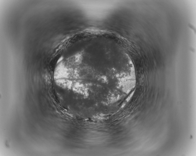 X0000094941397200712201104