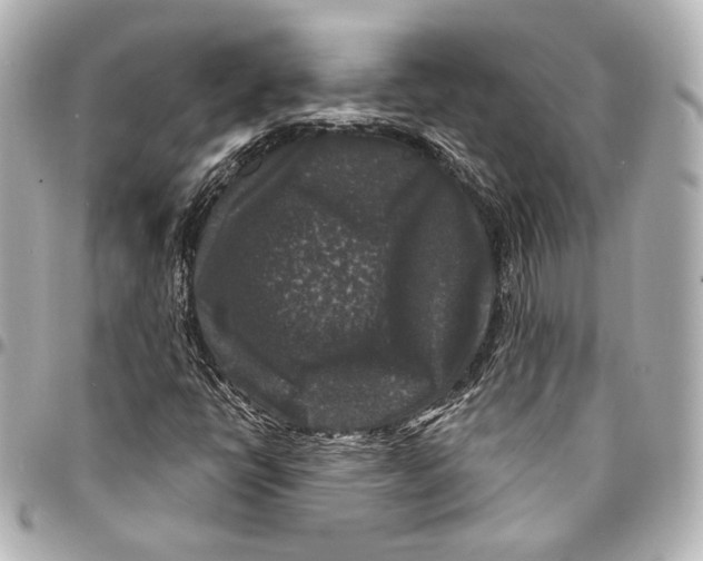 X0000094941398200712201104