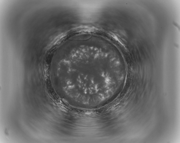 X0000094941399200712201104