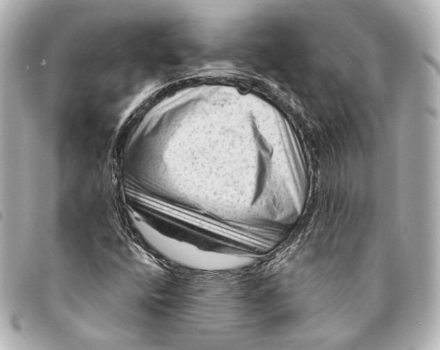 X0000094941400200712201104