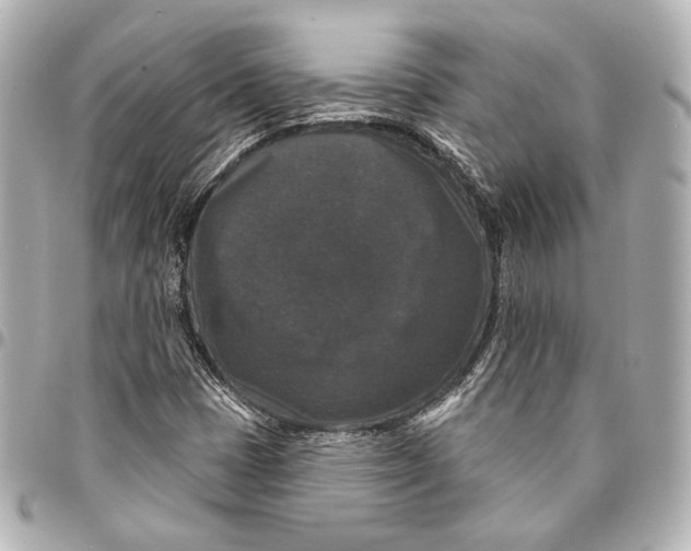 X0000094941401200712201104