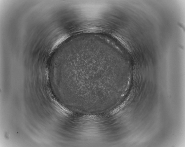 X0000094941402200712201104