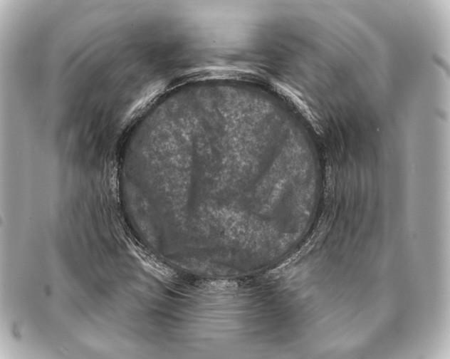 X0000094941403200712201104