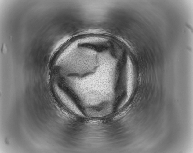 X0000094941406200712201104