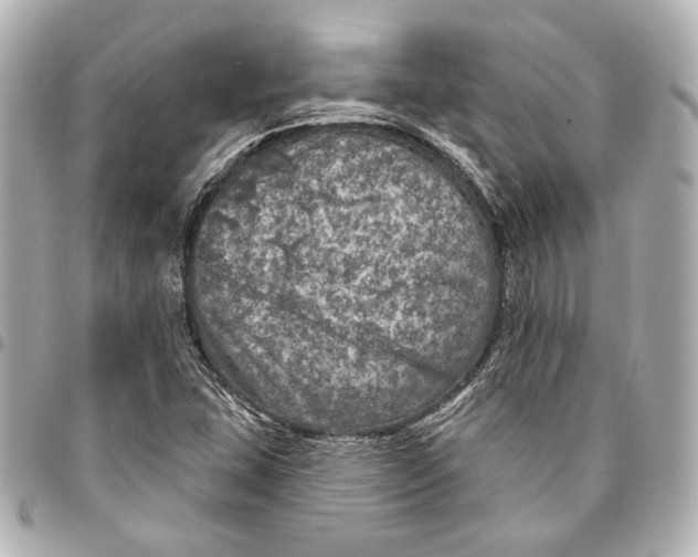 X0000094941407200712201104