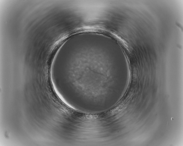 X0000094941411200712201104