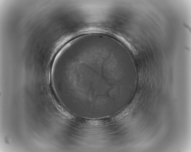 X0000094941413200712201105