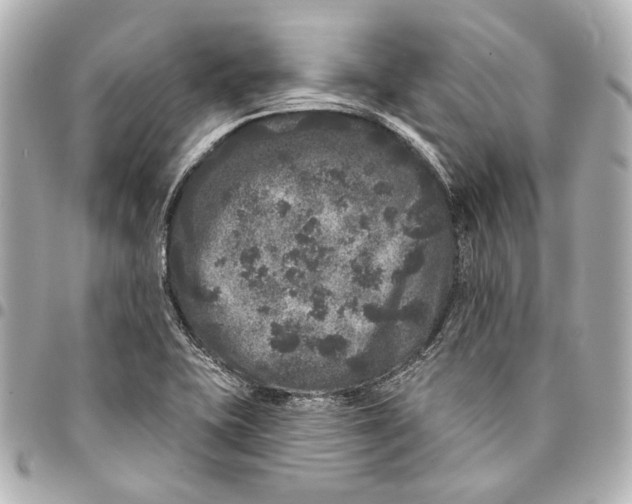 X0000094941415200712201105