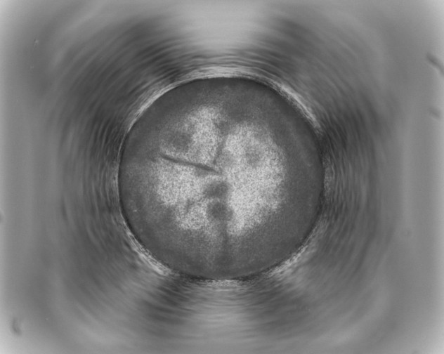 X0000094941417200712201105