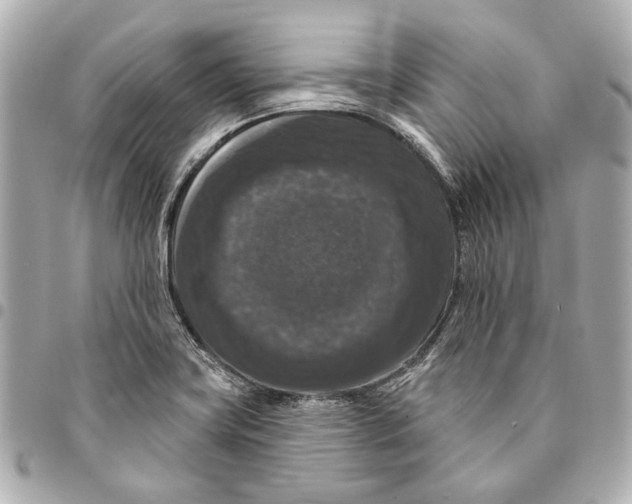 X0000094941419200712201105