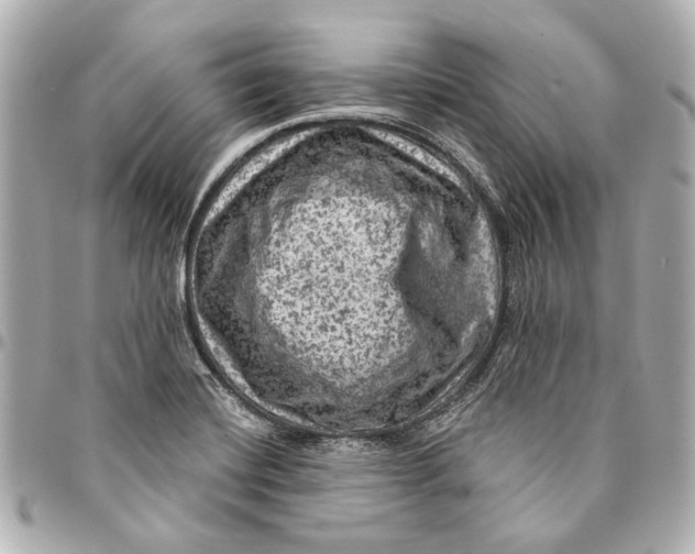 X0000094941420200712201105