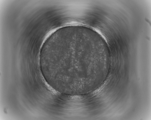 X0000094941421200712201105