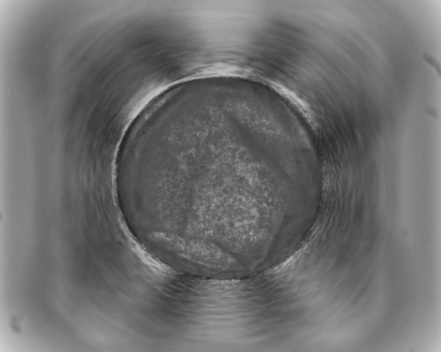 X0000094941423200712201105