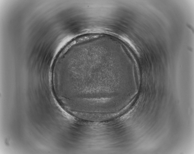 X0000094941424200712201105