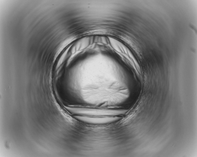 X0000094941426200712201105