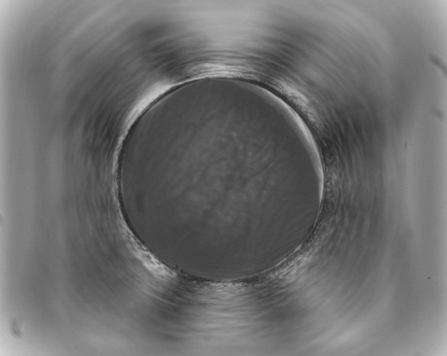 X0000094941427200712201105